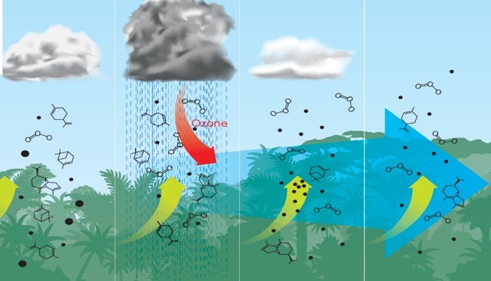 Floresta amazônica é capaz de, sozinha, formar nuvens e produzir chuva
