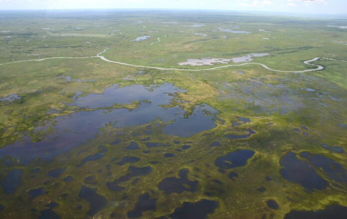 pantanal-de-corumba_ms3_foto-silvio-de-andrade-2