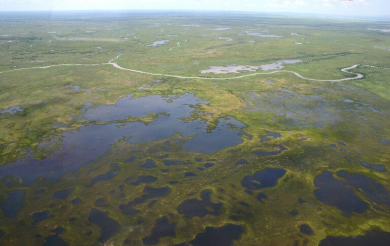 Especialistas debatem conservação, agro sustentável e inovação tecnológica no Pantanal