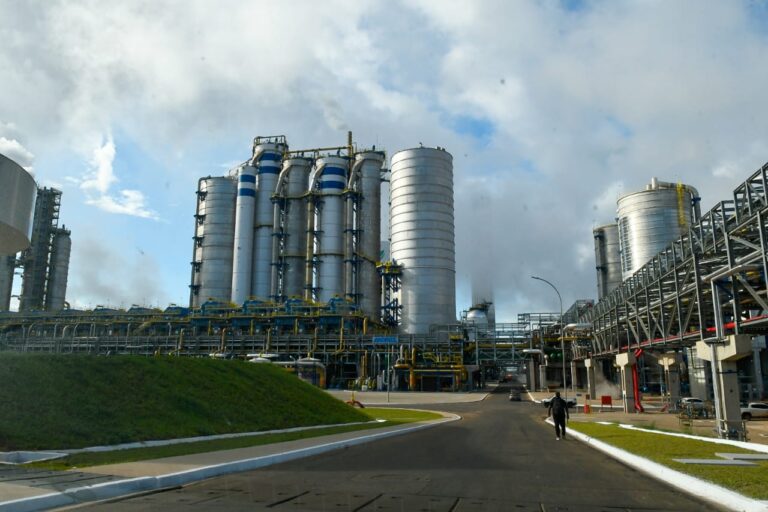COP30: ‘case’ sobre gaseificação de biomassa é reconhecido por organizações globais