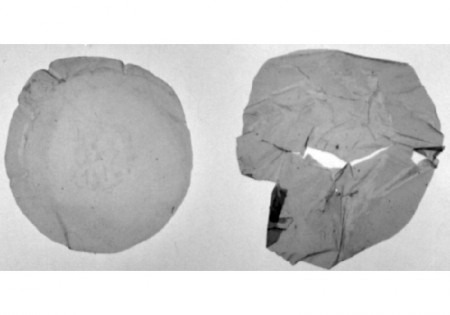 Encontrada bactéria capaz de transformar lixo plástico em bioplástico