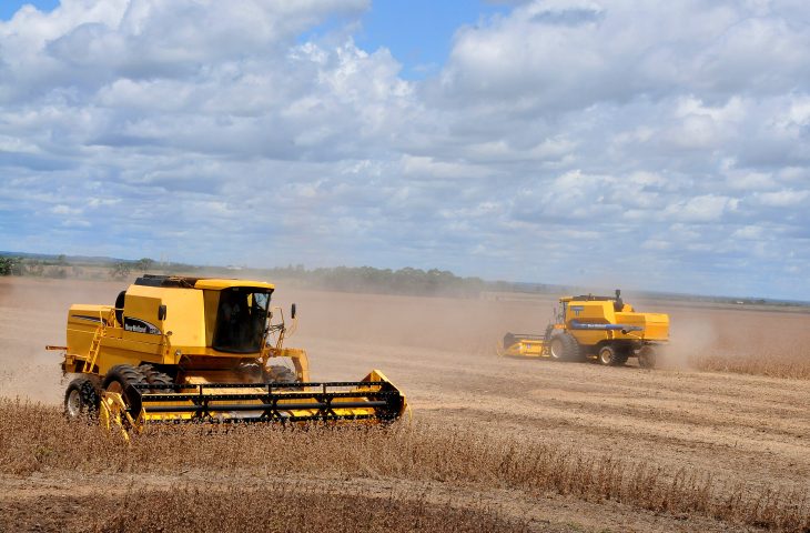 Produção agrícola deve chegar a 75,3 milhões de toneladas na safra 2024/25