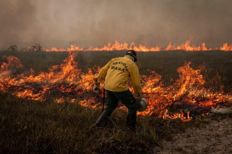 Degradação da Amazônia cresce 163%, enquanto desmatamento cai 54%