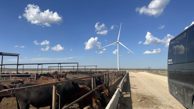 Pecuaristas aprimoram técnicas nos EUA e mantêm em alta exportações de carne aos americanos