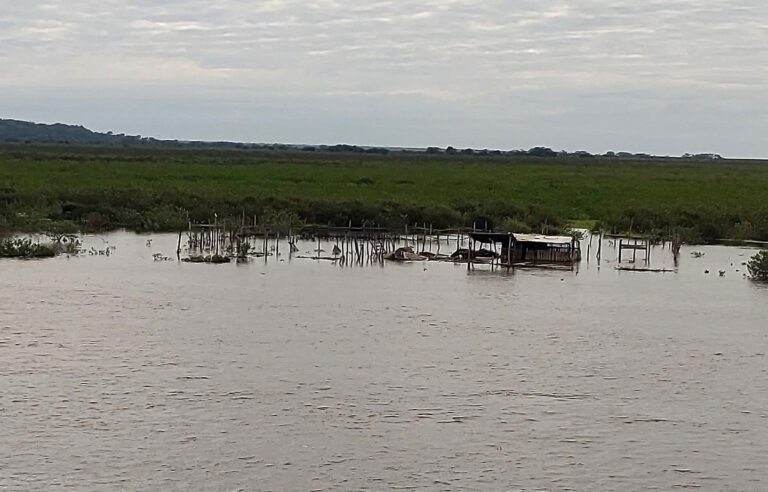Rio Paraguai transborda e devolve o cenário natural do Pantanal